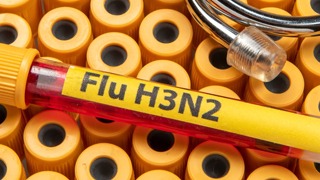 60 cases of H3N2 influenza across Odisha in 2 months