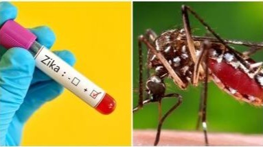 Another virus in the country : 1st case of Zika virus reported in Karnataka.