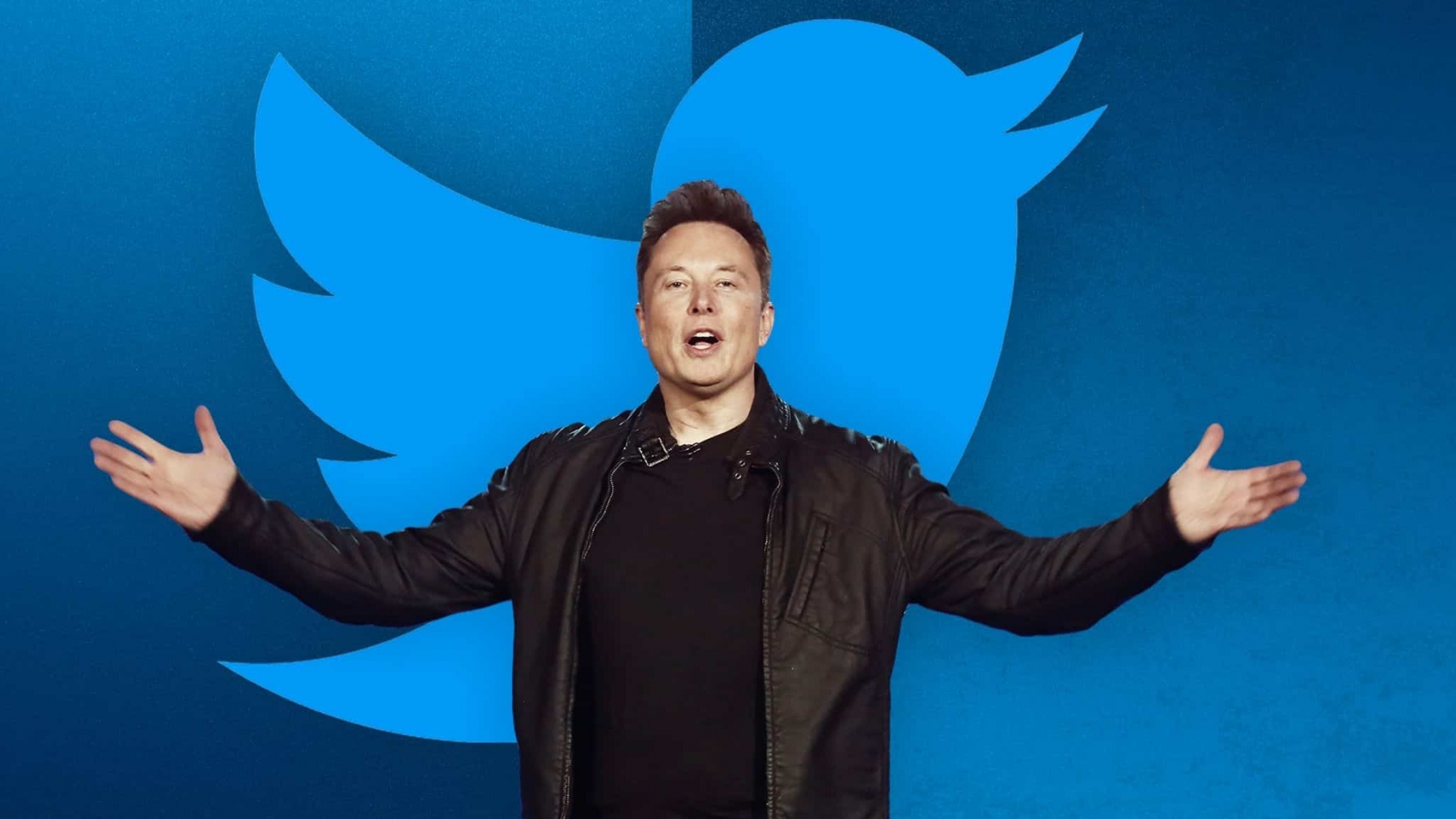 Can I be the CEO of Twitter? : Youtuber askes Elon Musk.