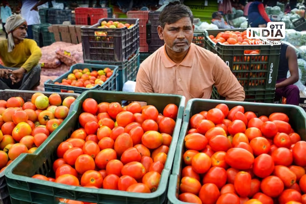 Government is seeking to buy tomatoes directly from farmers