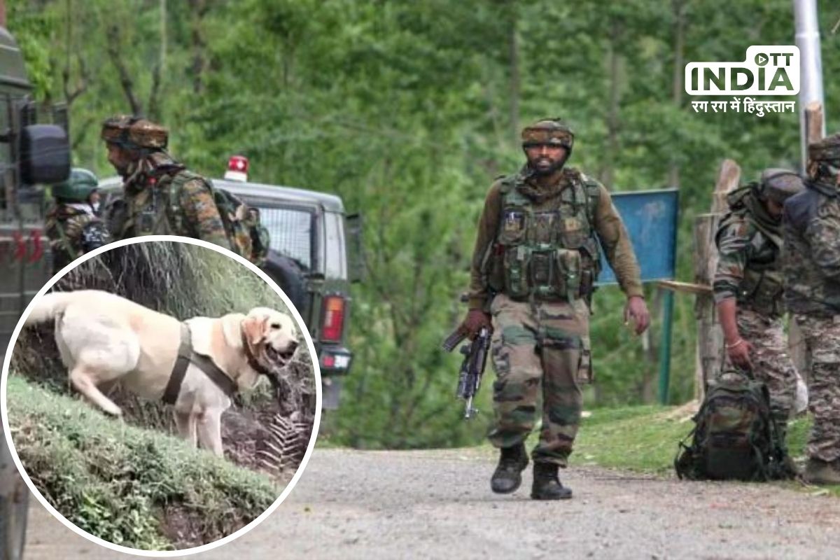 1 soldier, 1 brave dog and 2 terrorists killed in Jammu and Kashmir