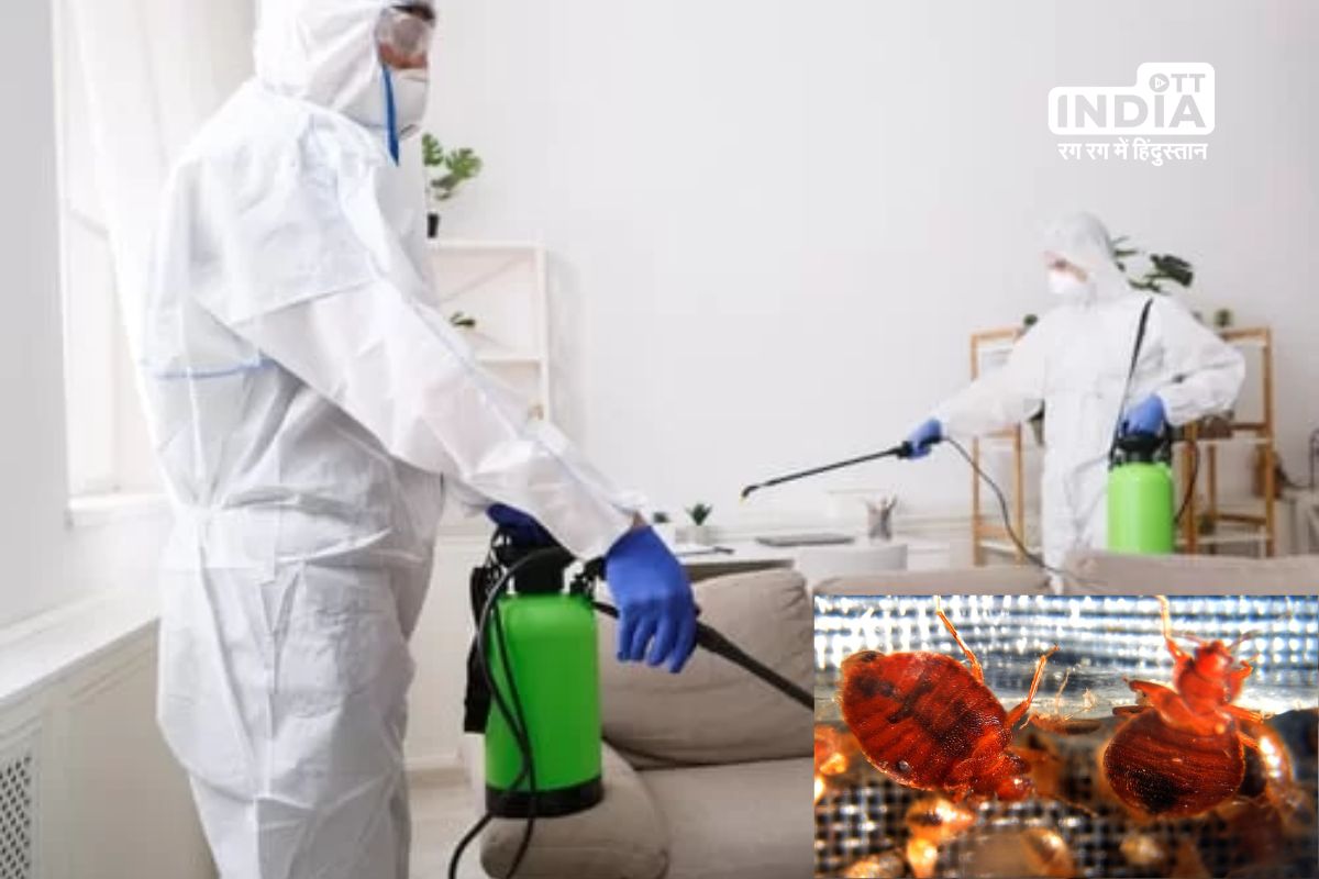 France Calls Emergency Meetings as Bedbug Cases Surge