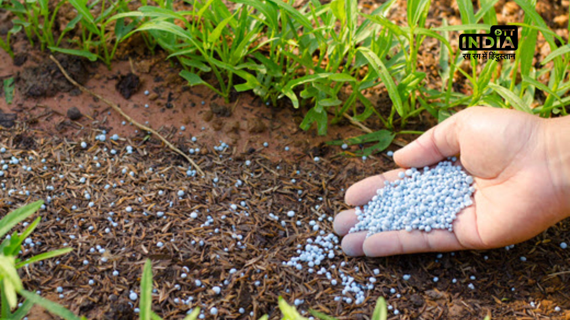 Amidst worldwide inflation, Cabinet approved subsidy for fertilisers