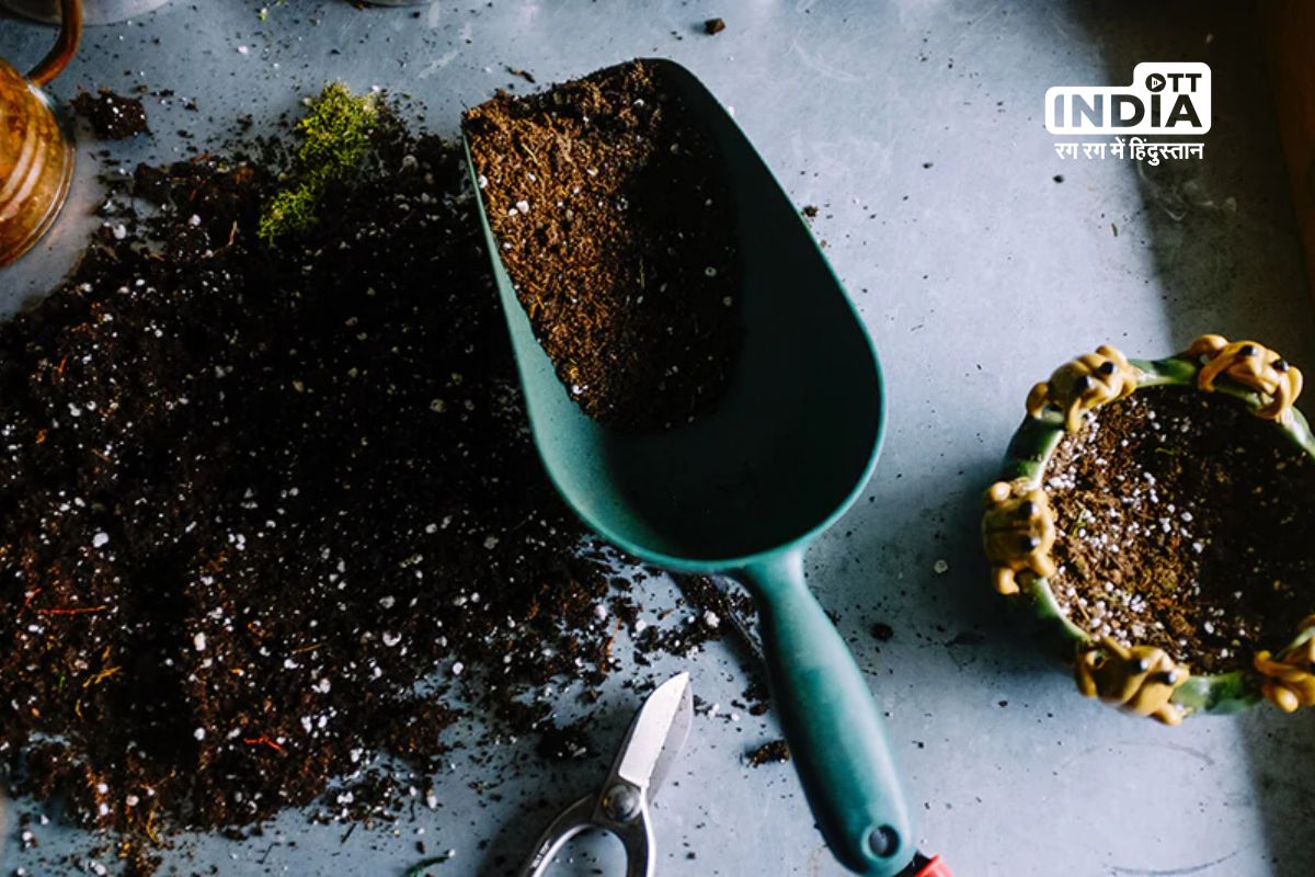 Dont Discard Used Tea Leaves – Discover Clever Hacks to Make the Most of Them!