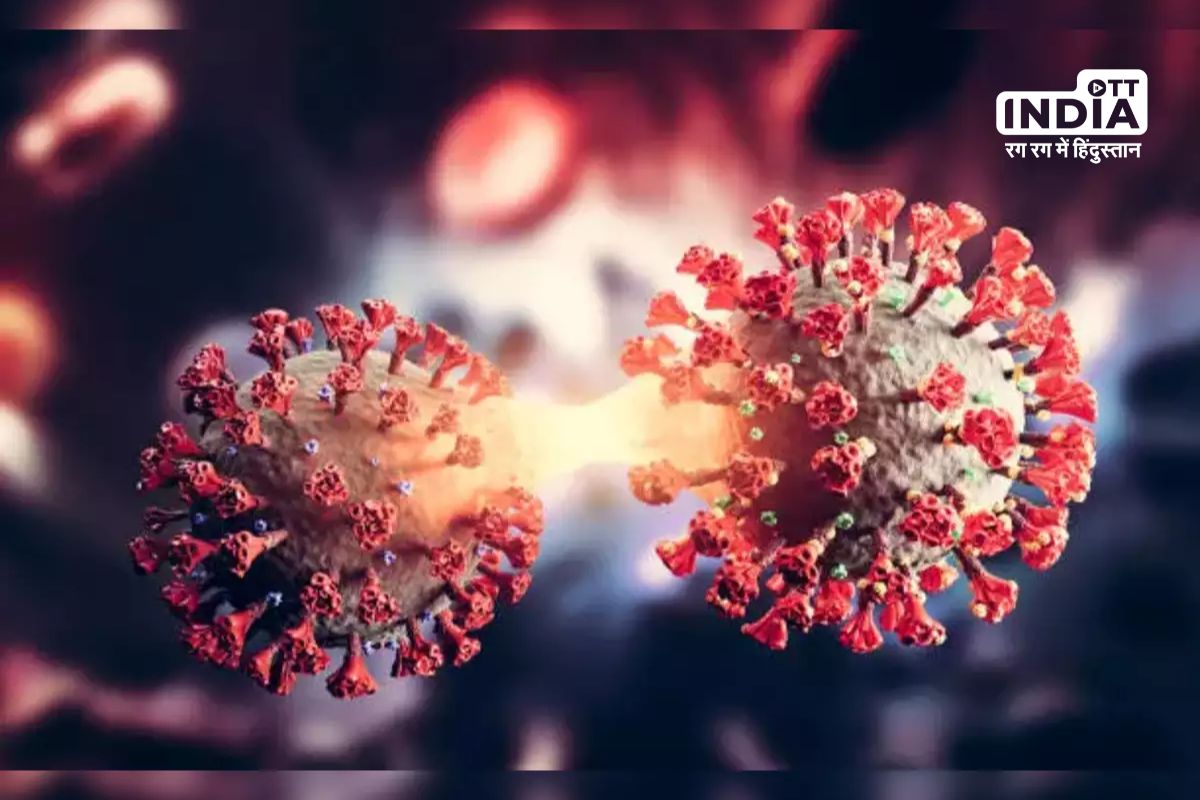 India Records 312 New Covid Cases, Highest Single-Day Surge Since May 31