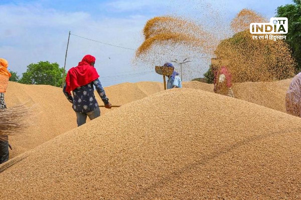 Shree Anna procurement boosts farmer income: CM Yogi highlights MSP success