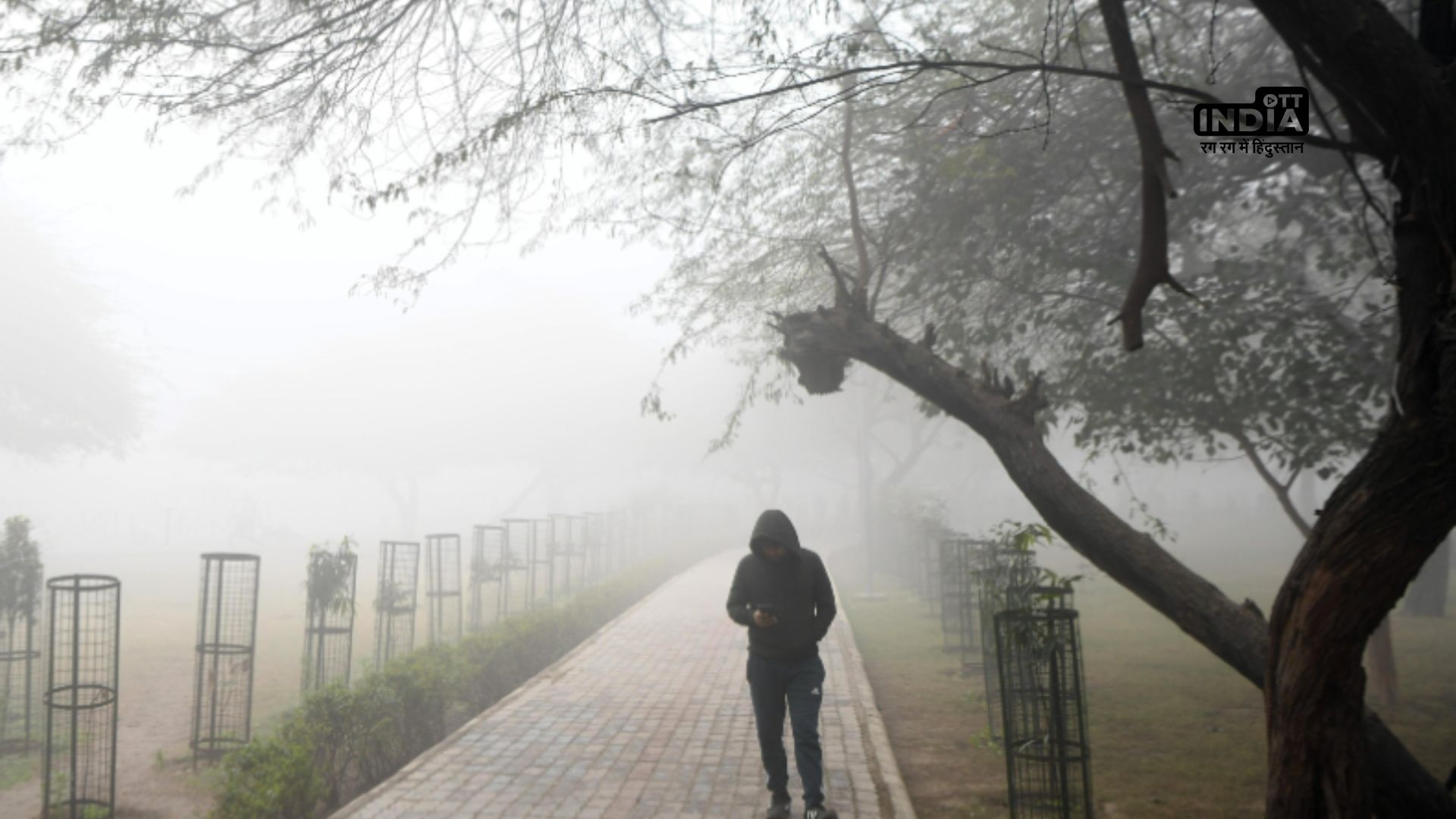 Light Rainfall graces Delhi amid cold spell and foggy weather