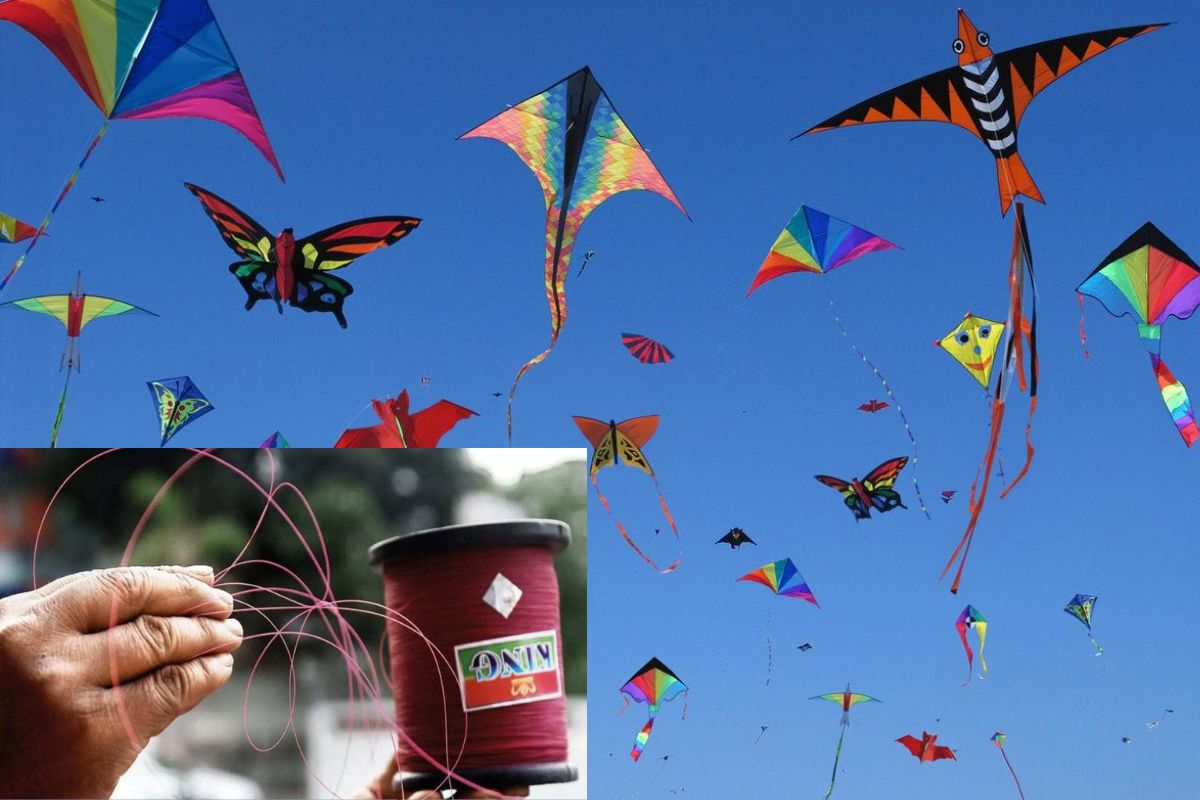 Festivals of Kites brought cuts and accident along with joy