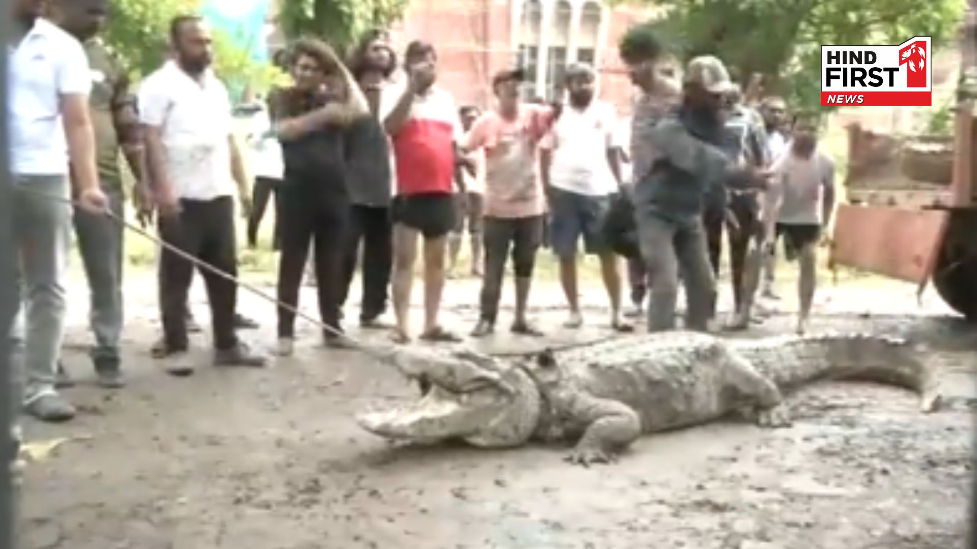 Weather Forecast: After reptiles in home, now crocodiles are inside campus in Gujarat, IMD said, danger is not over yet