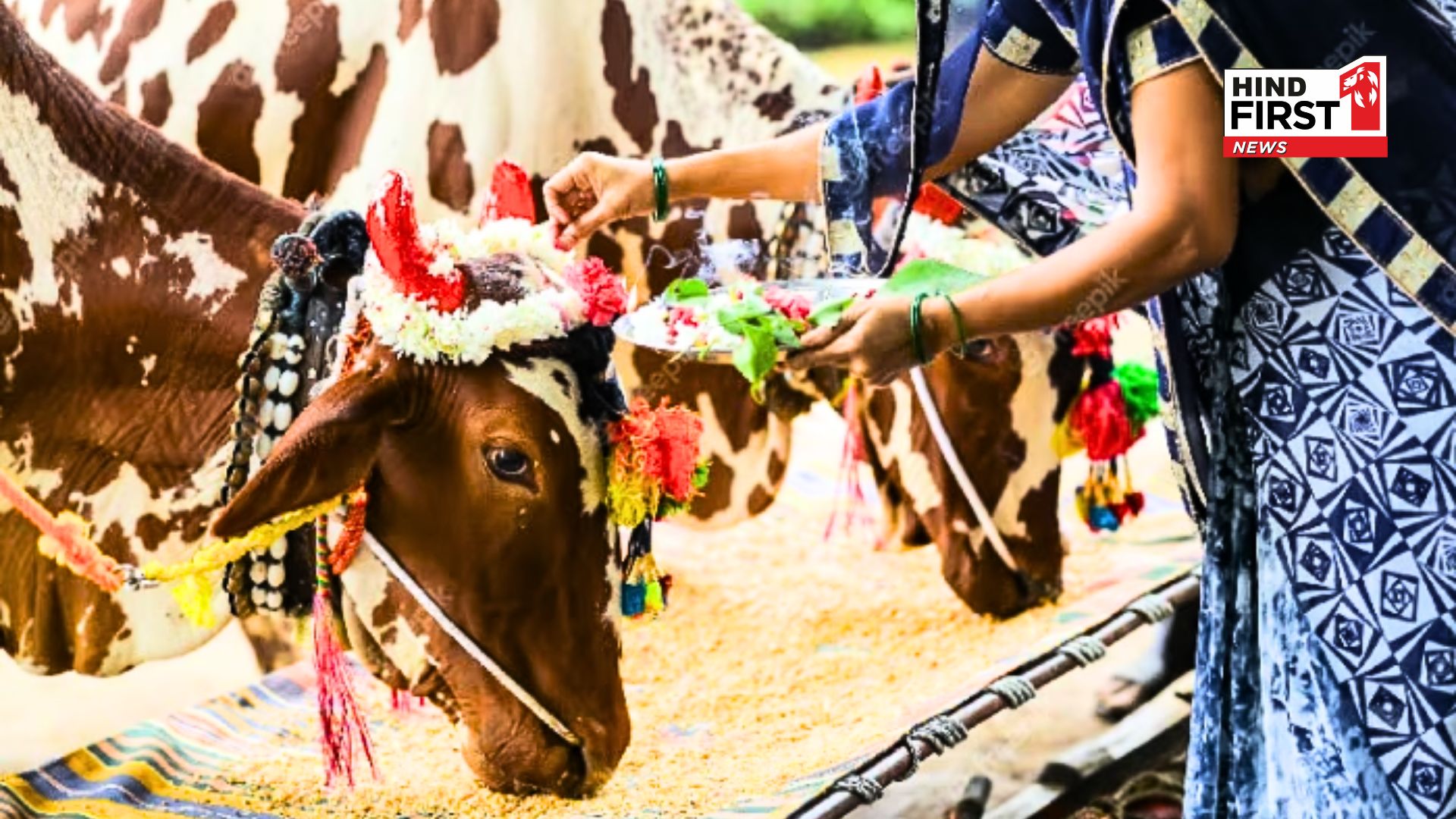 Bailpola Festival: Rising Inflation Hits the Bull Market; Prices of Goods Soar