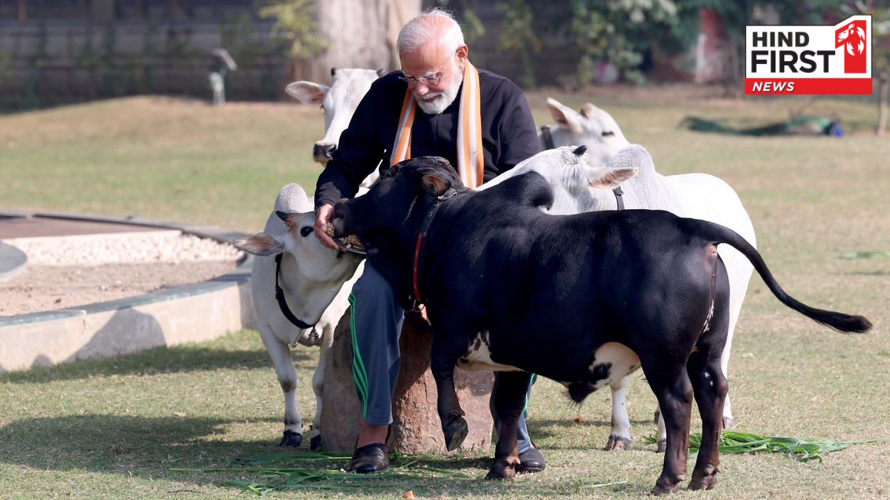 PM Modi Welcomes New Calf Deepjyoti to His Residence