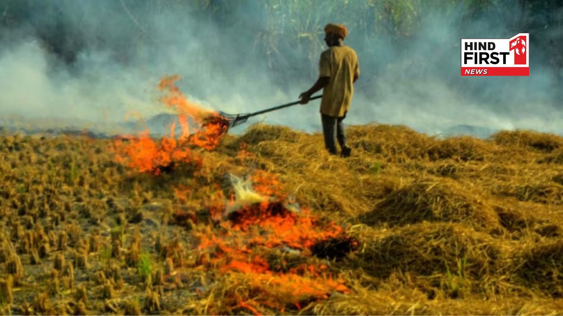 Agriculture Departments action on stubble burning, employees have been given leave in Haryana.