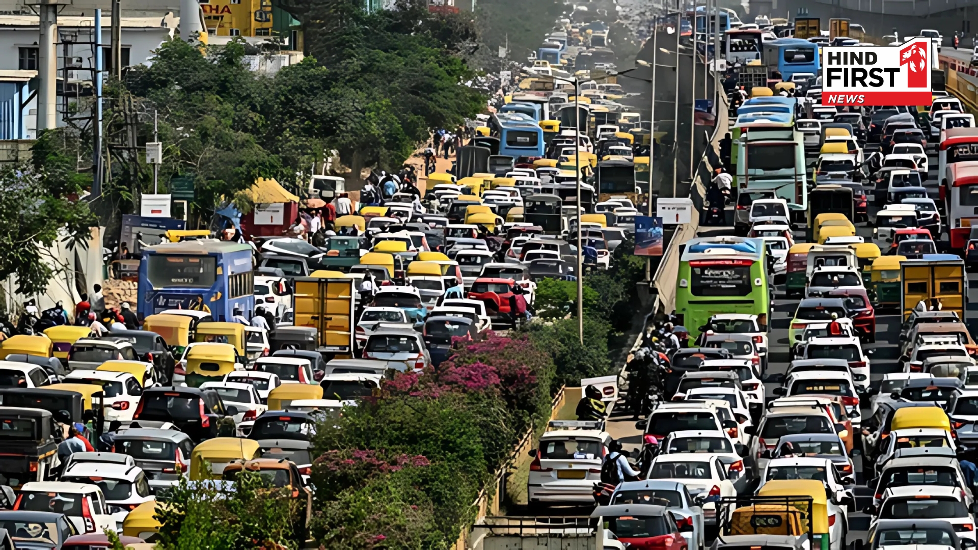 Karnataka Bandh Today: Whats Open, Whats Closed? Full Details Inside