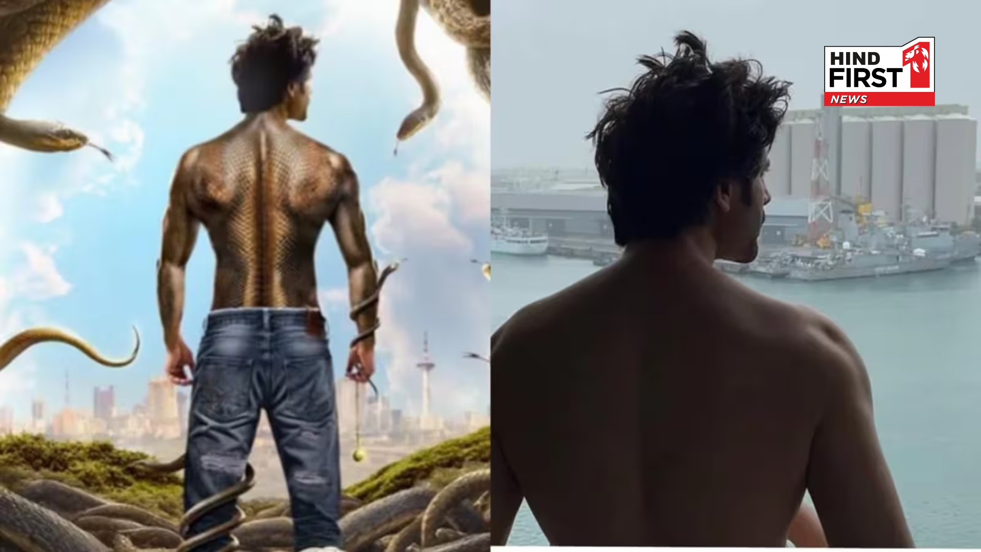 Kartik Aaryans Naagzilla Poster Faces Backlash for Using Old Instagram Photo