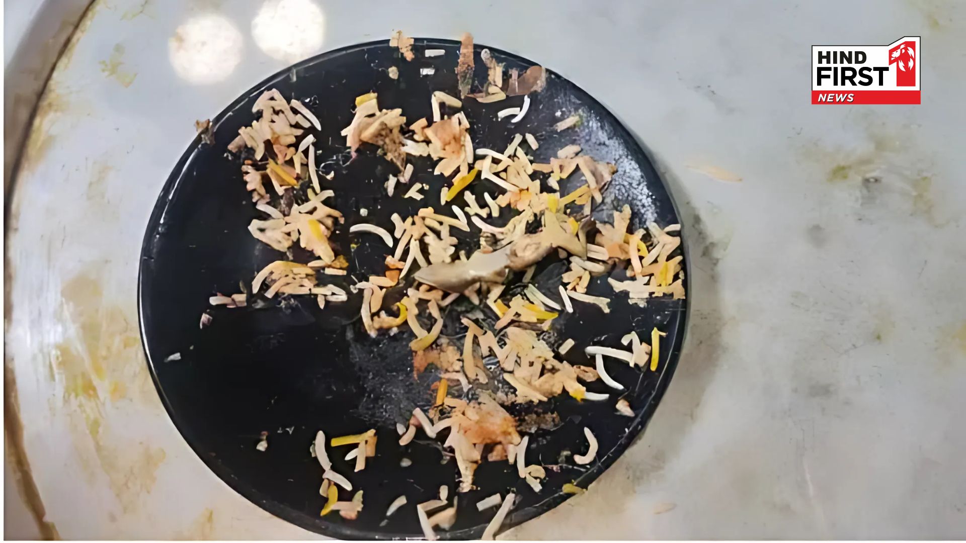 Customer Finds Fried Lizard in Biryani at Hyderabad’s Mehfil Hotel