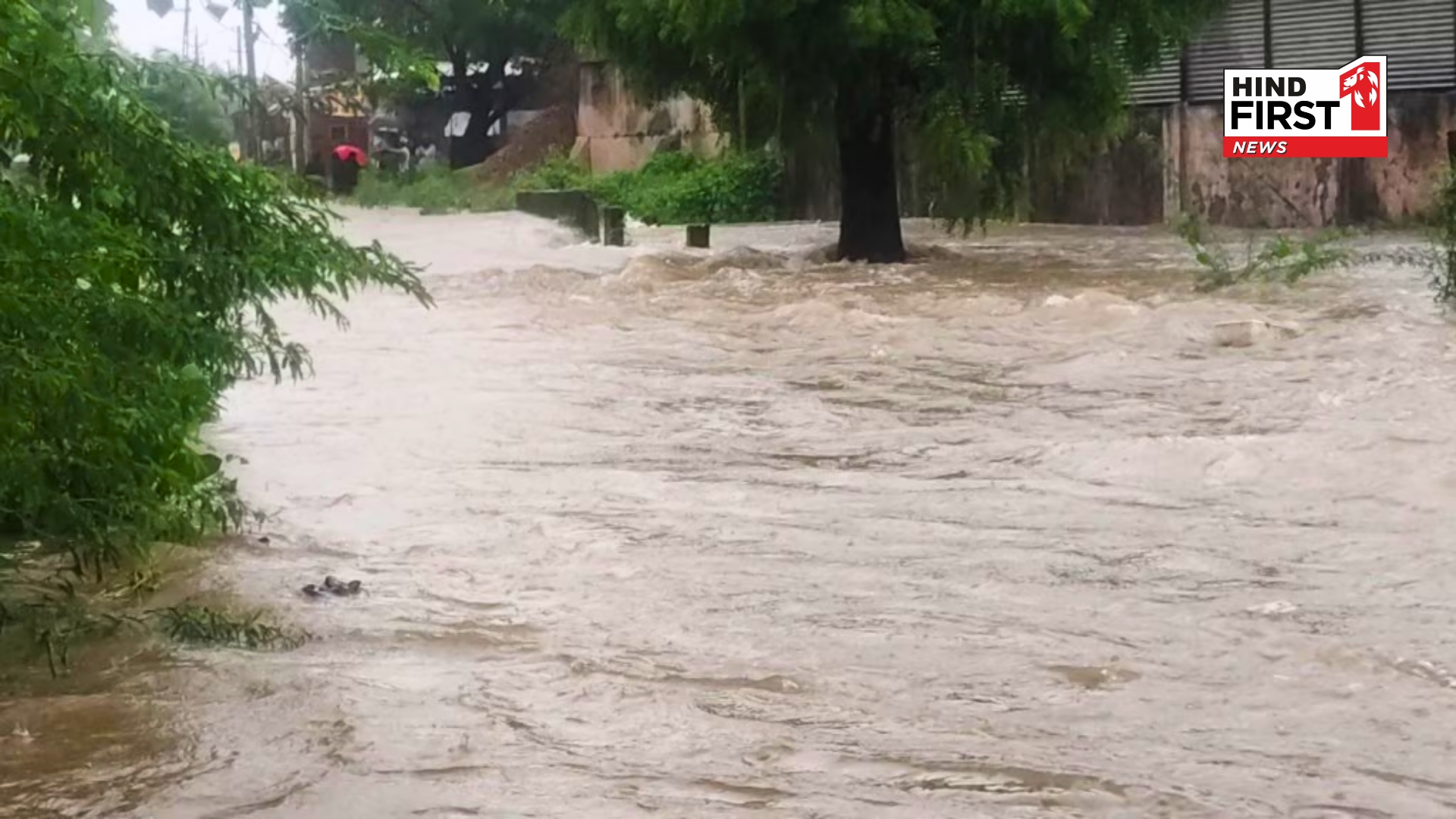 Gujarat Weather Update: Heavy Rain Floods Roads, Sparks 10 Km Jam