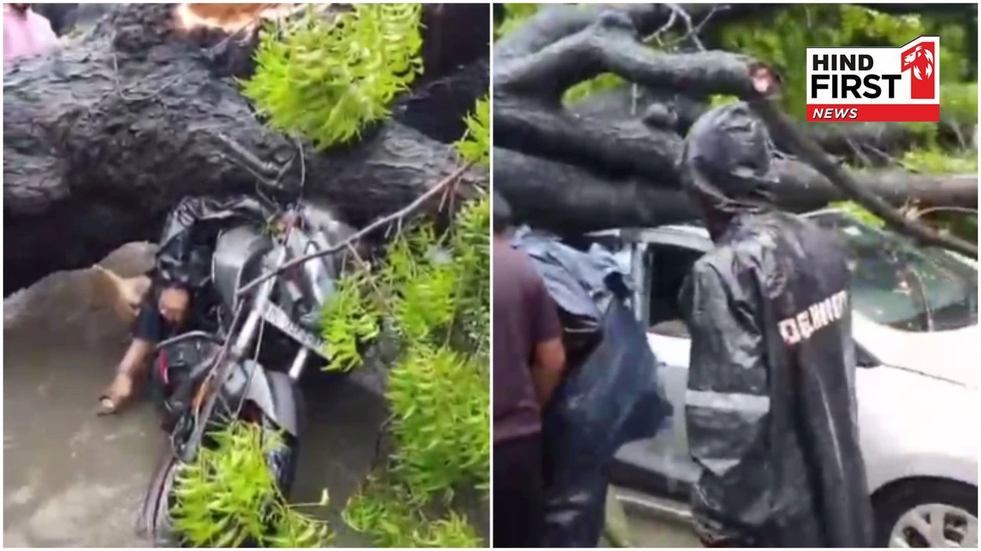 Delhi Rains: Massive Tree Uprooted, Crushes Biker To Death In Kalkaji