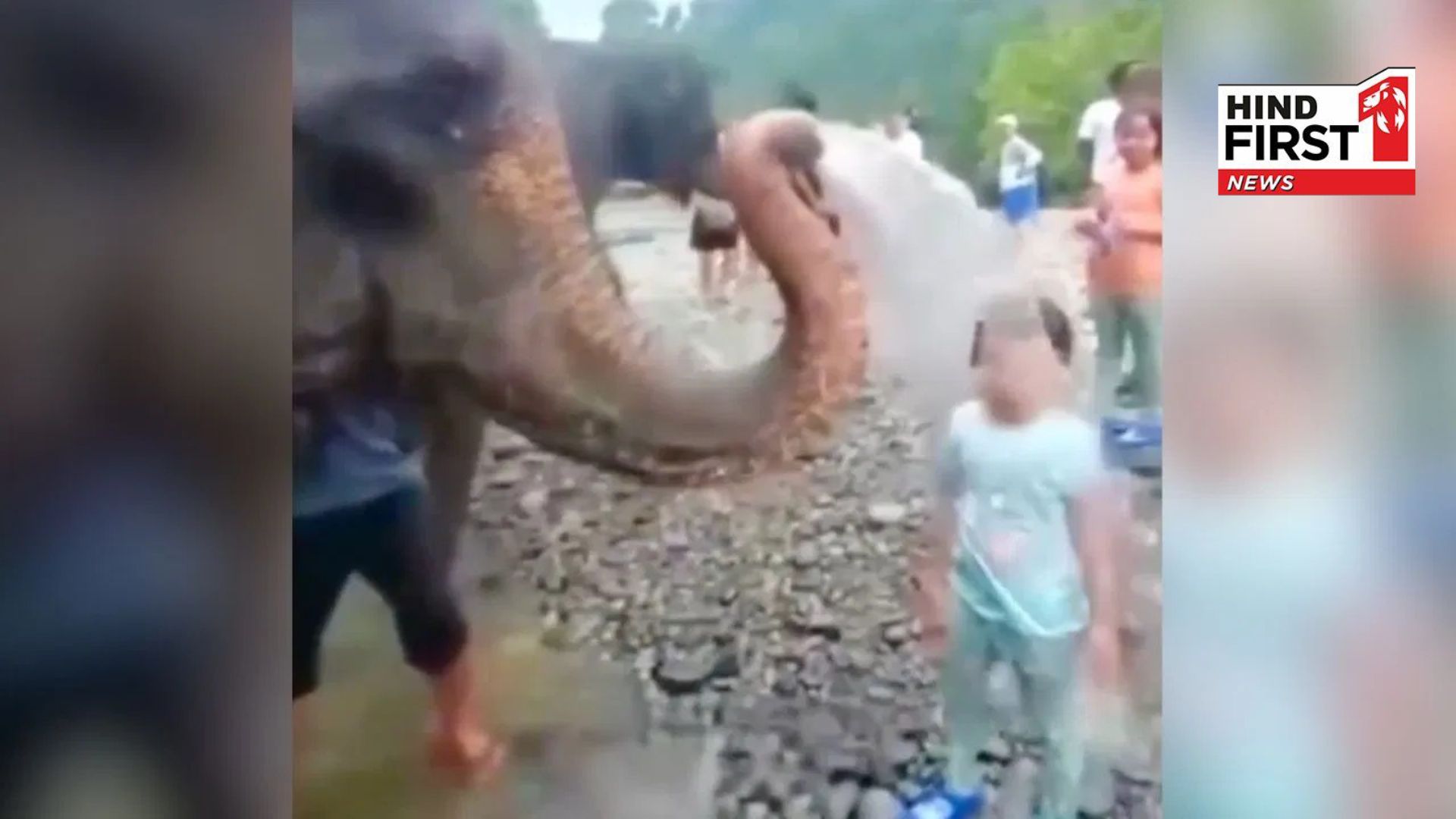 Elephant had fun with a little girl, your heart will be happy after watching the video