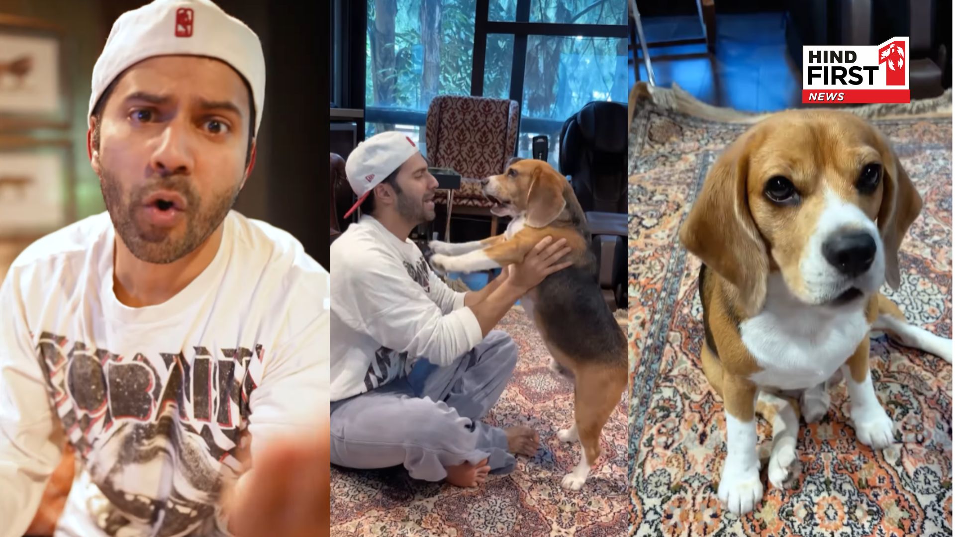 Varun Dhawan’s Bijuria Moves With His Dog Joey Is The Cutest Thing on the Internet Today