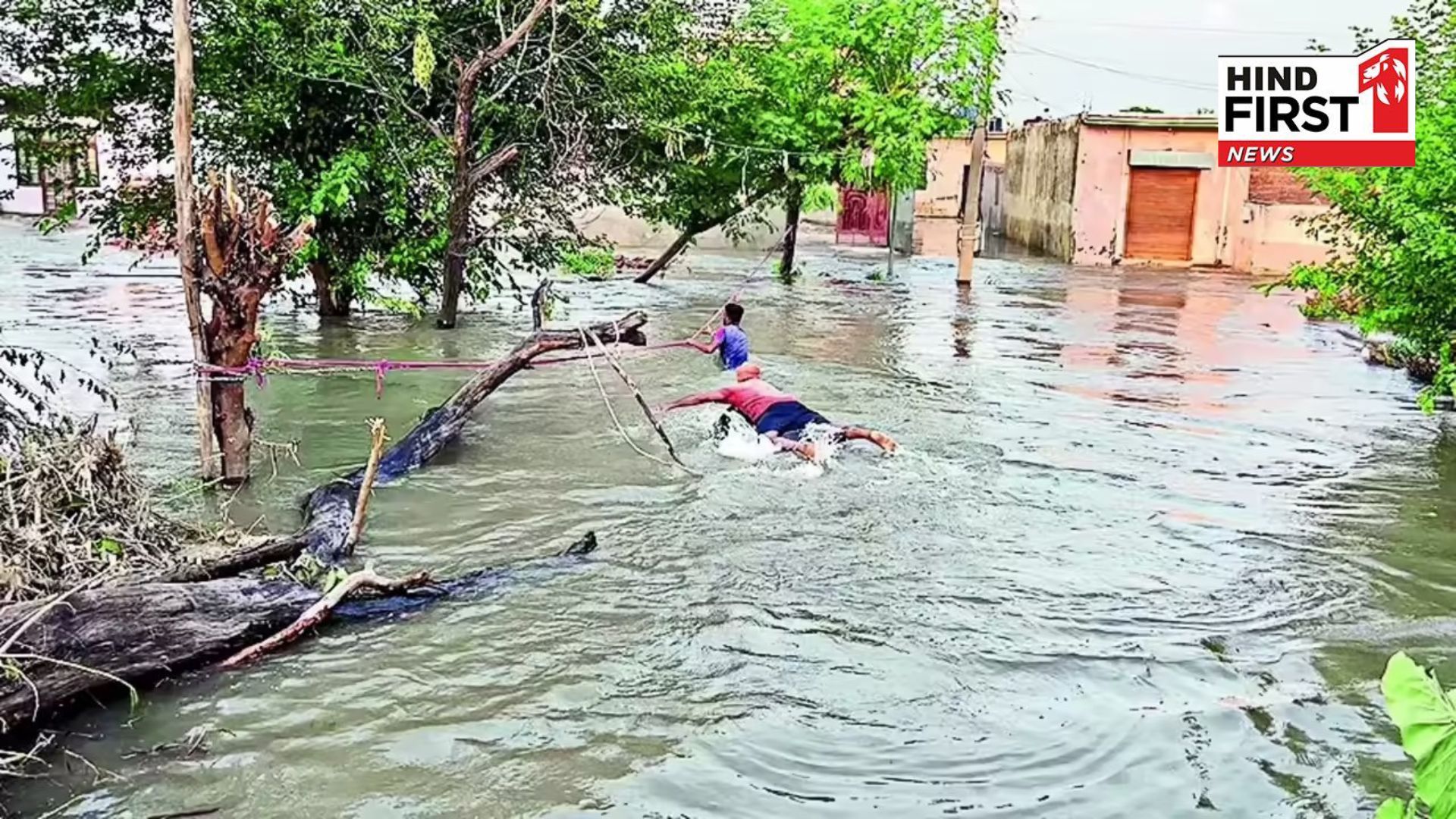 Punjab Flood: 1902 villages submerged in water and 43 deaths...Alert in Nangal-Anandpur Sahib too