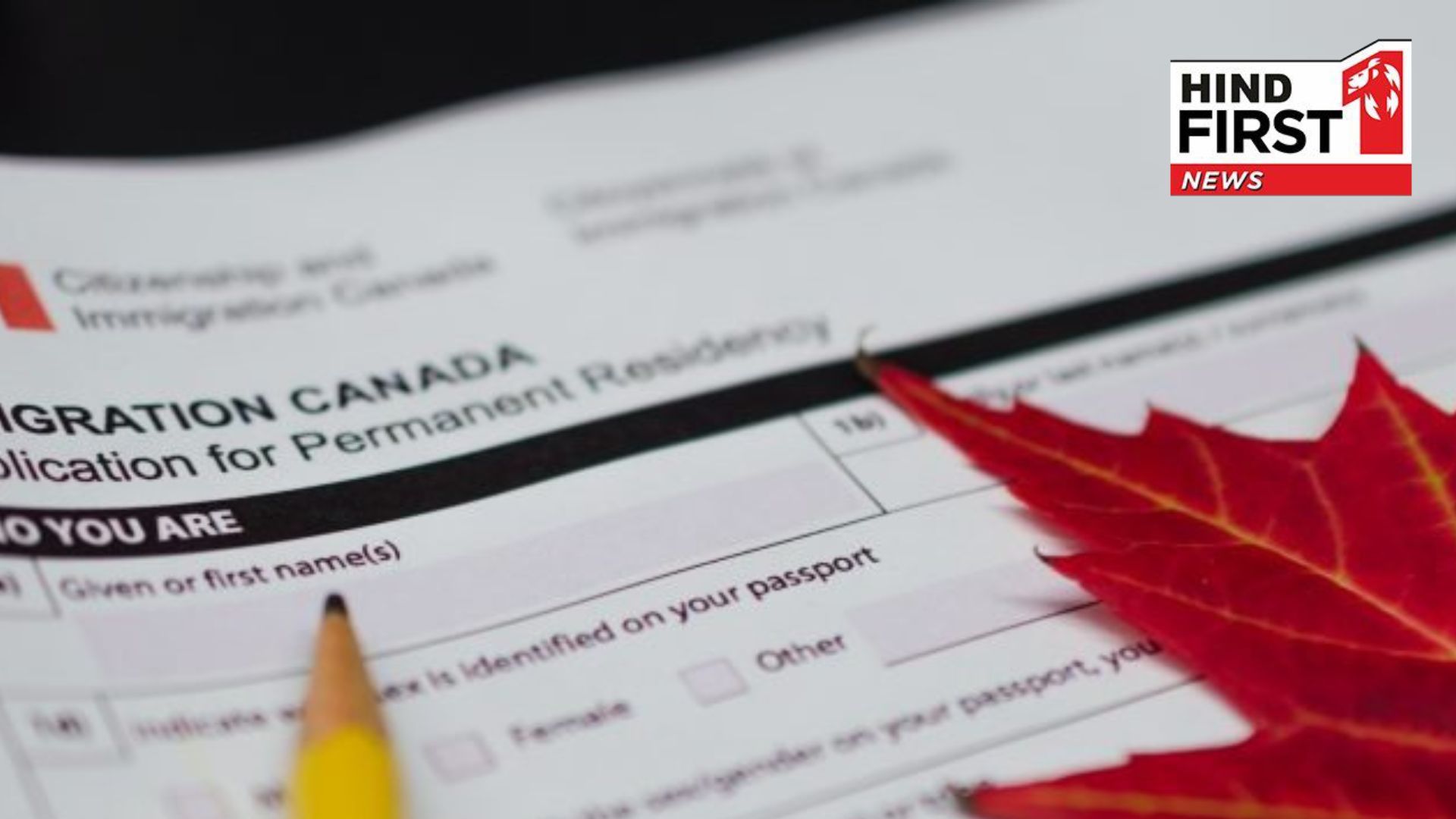 Learn French, you can easily get Canadian PR, and there are plenty of job options too